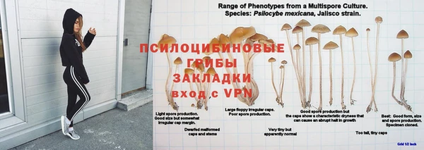 дурь Зеленодольск