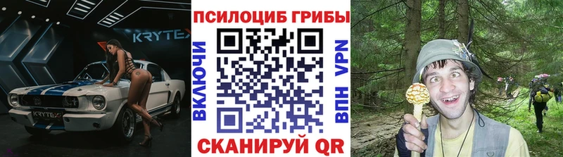наркота  Кола  Псилоцибиновые грибы Magic Shrooms 